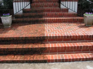 What Causes Mold, Algae, and Dirt Buildup on Mandarin, FL Properties?